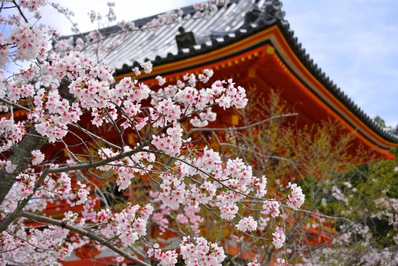 Stay Sakura Kyoto Tambaguchi المظهر الخارجي الصورة